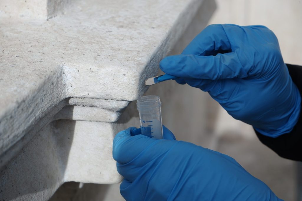 Il prelievo in situ: il campionamento del biofilm direttamente dalla superficie lapidea.
