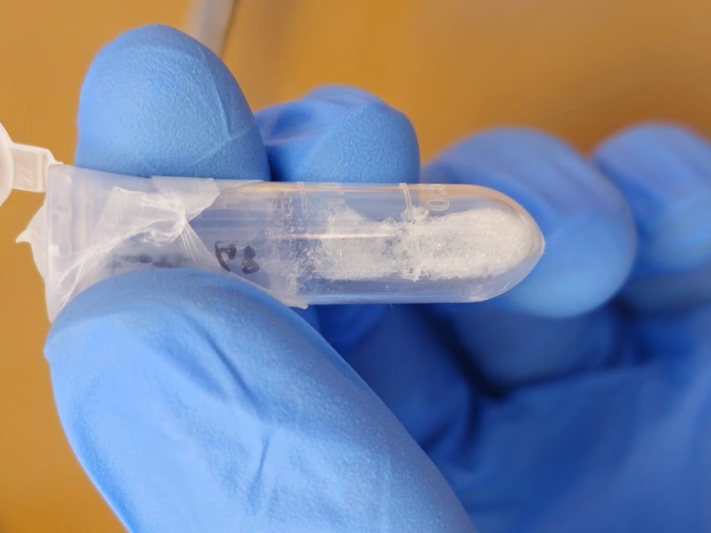 Collagene estratto in provetta eppendorf.