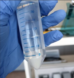 Nanoparticelle di chitosano in provetta.