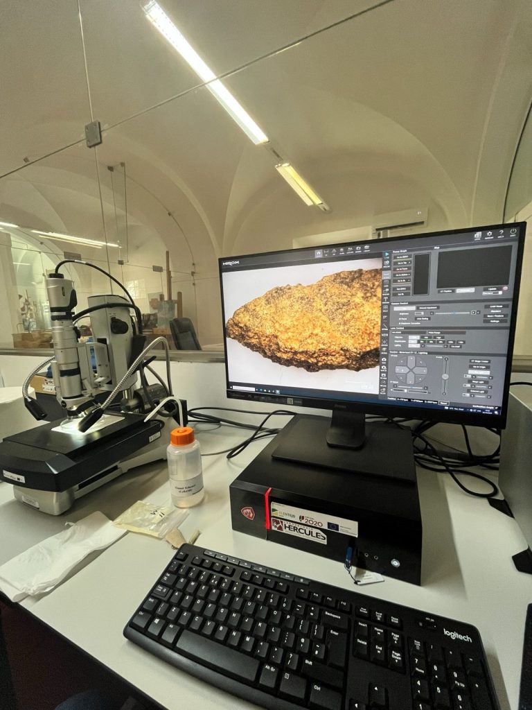 Frammento di preparazione in gesso al microscopio digitale.