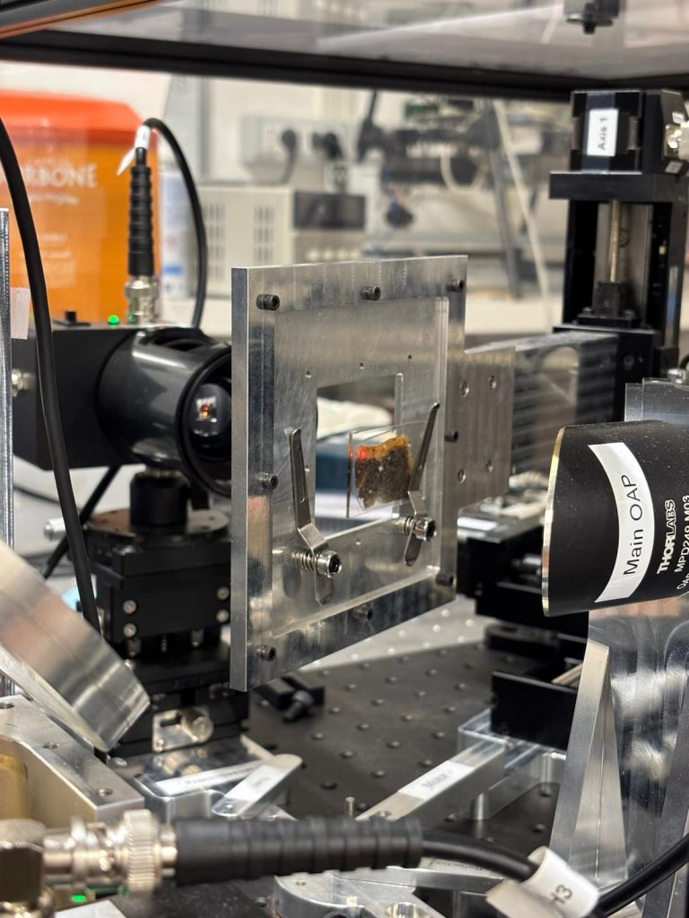 Una sezione sottile durante un esperimento di imaging Terahertz.